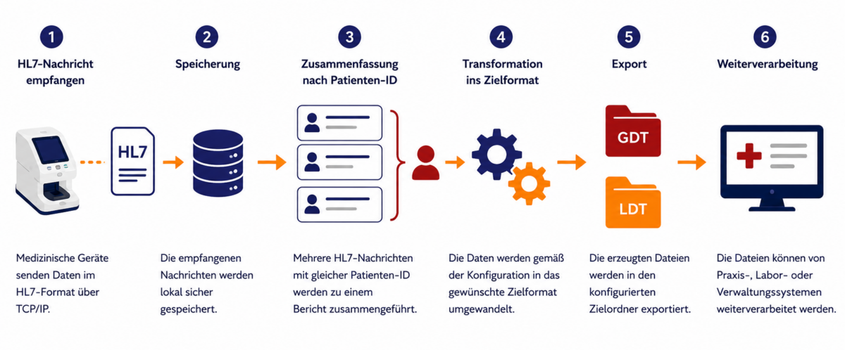 Ablauf der Schnittstelle in sechs Schritten: HL7-Nachricht empfangen, speichern, nach Patienten-ID zusammenfassen, ins Zielformat transformieren, als GDT oder LDT exportieren, im Zielsystem weiterverarbeiten.